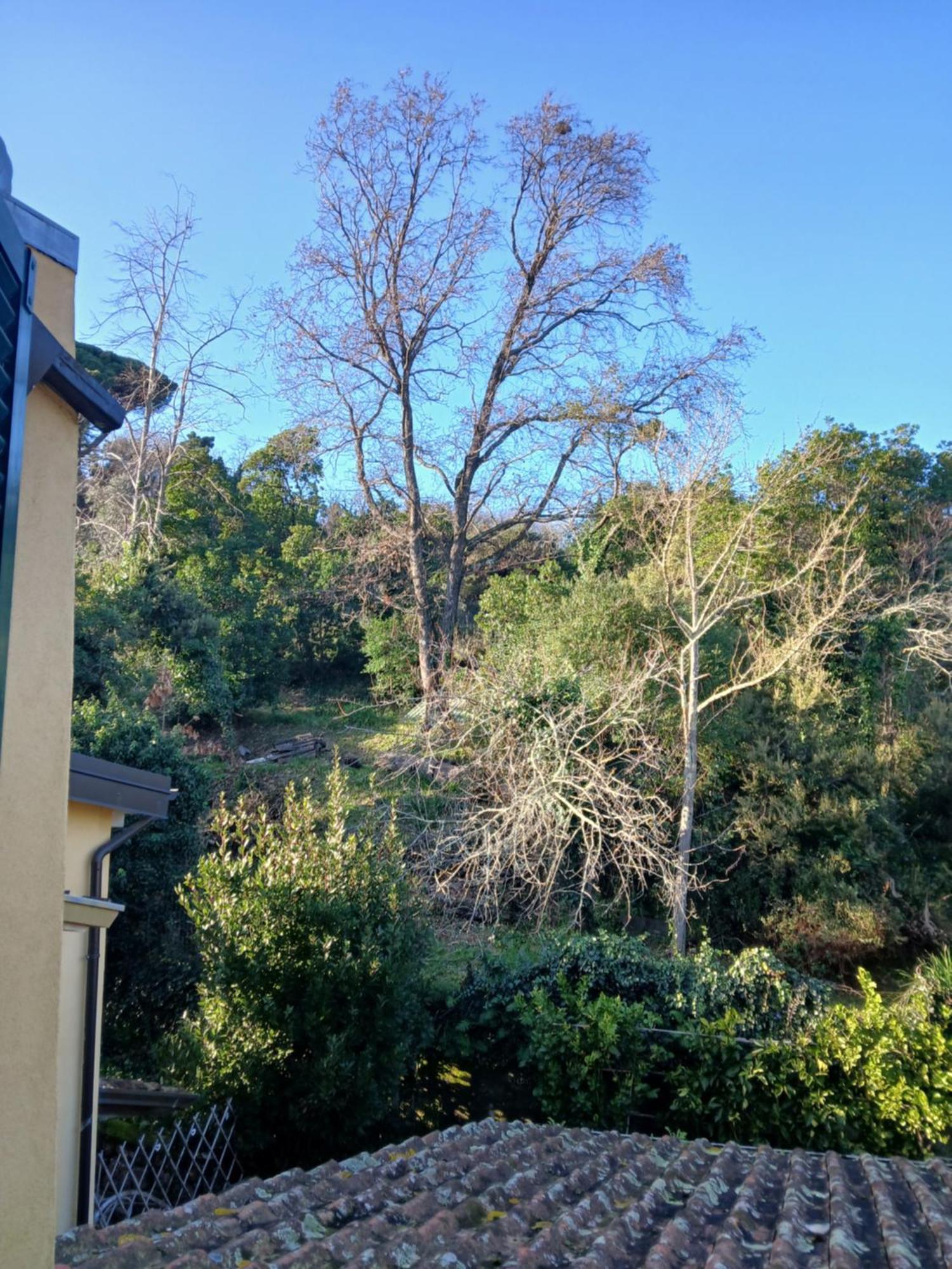 Casa Misha Tra 5 Terre E Versilia Bocca di Magra Luaran gambar
